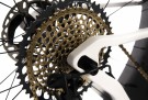Suvan Model 3 Gold AXS thumbnail