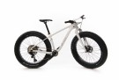 Suvan Model 3 Gold AXS thumbnail