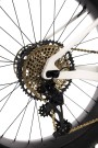 Suvan Model 3 Gold AXS thumbnail